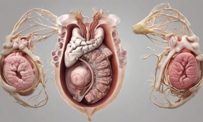 fetal organs develop fully