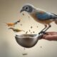 guide for bird feeding