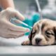 newborn puppies deworming guide