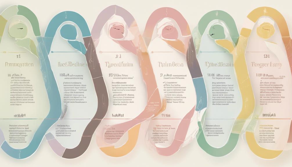 second trimester time frame