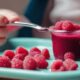 raspberry puree for infants