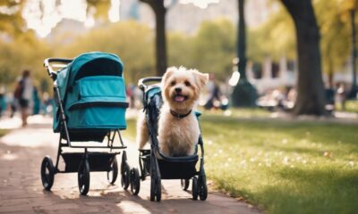 pet strollers for adventures