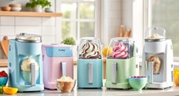 affordable ice cream maker options