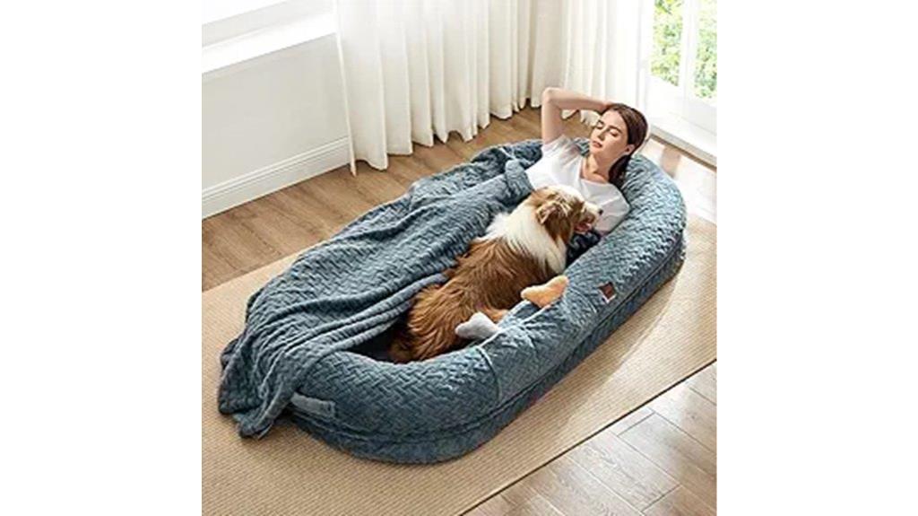 adult dog bed options
