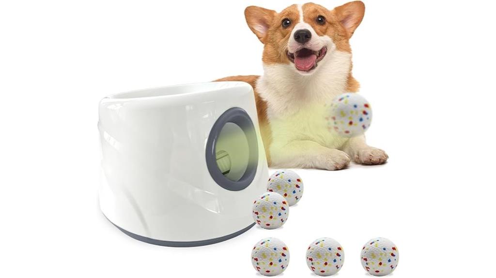 dog ball throwing machine