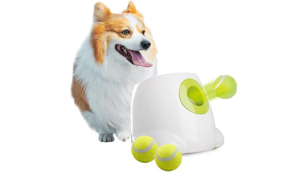 dog ball throwing machine