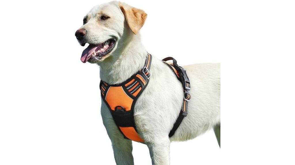 large dog harness