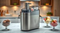 luxury home ice cream makers