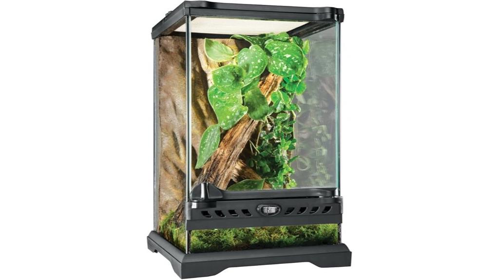 natural glass terrarium kit