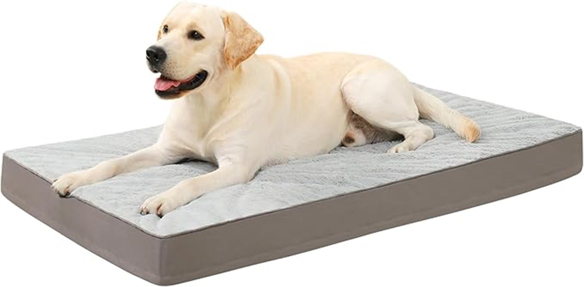 orthopedic washable egg crate bed