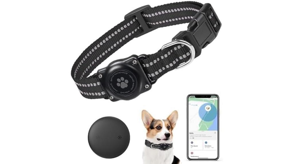 pet and kid gps tracker