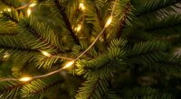 realistic pre lit christmas trees