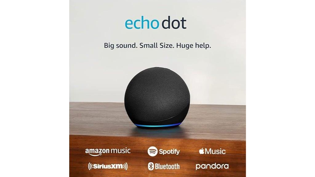 voice controlled smart speaker