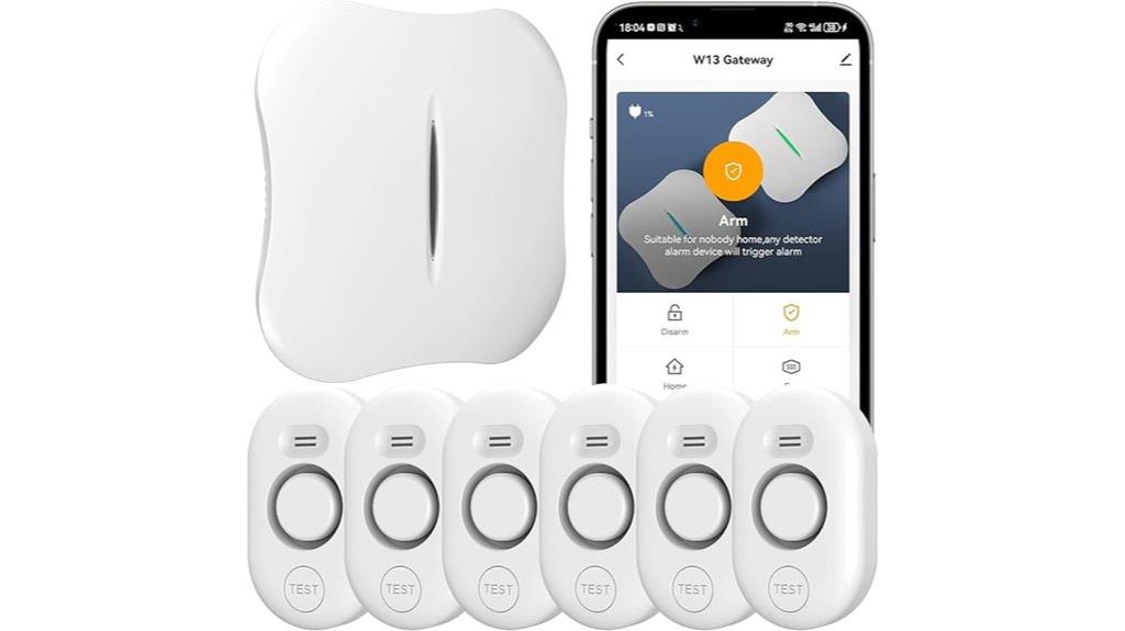 wifi leak detection system