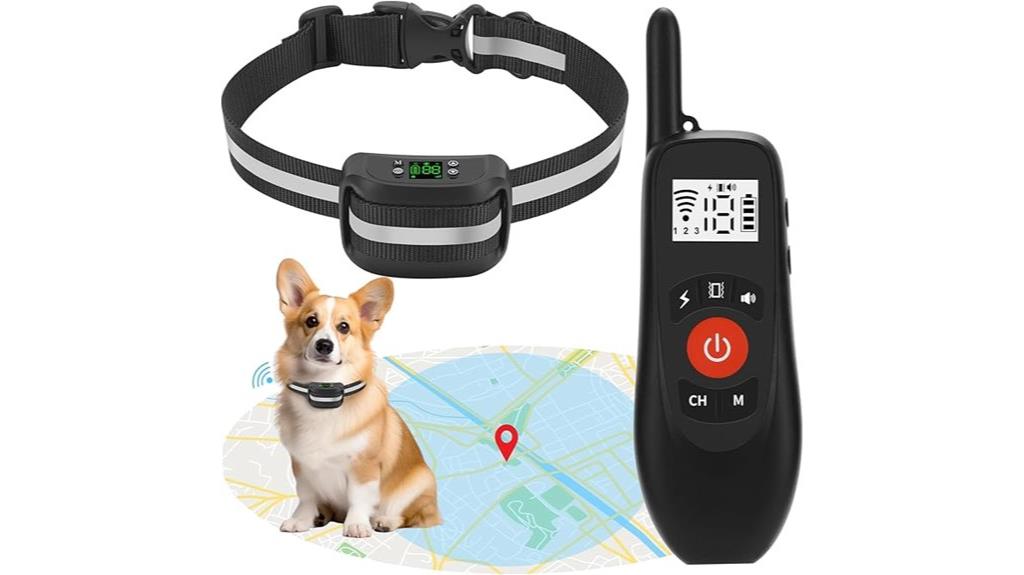 wireless dog fence system