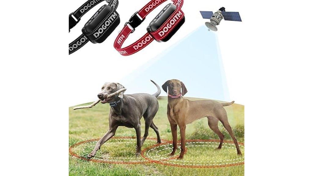 wireless fence for two dogs