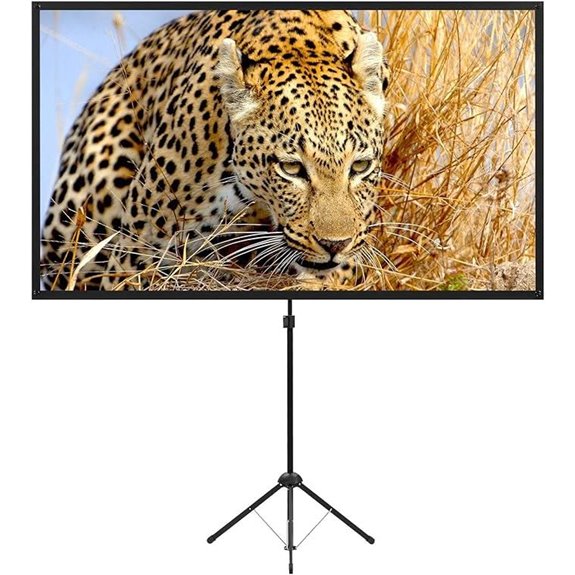 Portable 80-Inch Outdoor Projector Screen with Stand