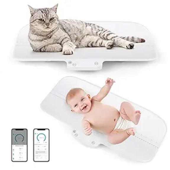 digital scale with app