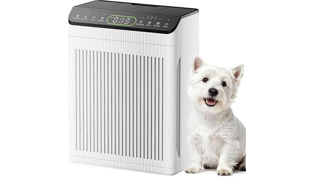 large room air purifier