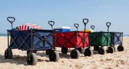 top beach wagon picks