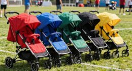 top stroller wagons 2026