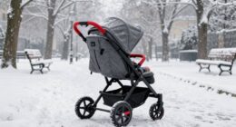 winter stroller recommendations