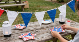 14 Best Patriotic Outdoor Party Supplies in 2026
