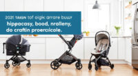 UPPAbaby Vista V2 vs Nuna PIPA: Full Comparison