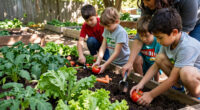 How Kids Help Grow 30,000 Pounds Of Produce In A Food Desert