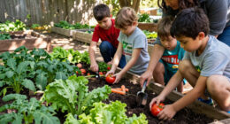 How Kids Help Grow 30,000 Pounds Of Produce In A Food Desert